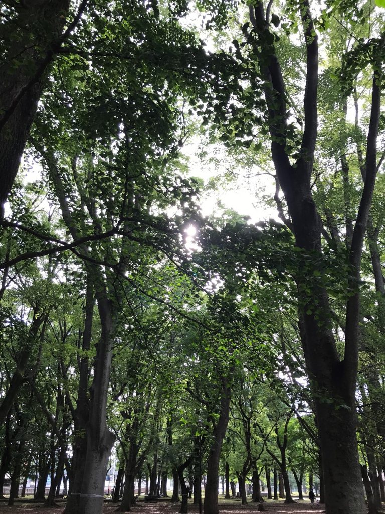 オーバーシャツ、作ってみました！