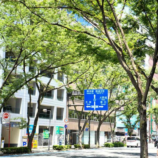 2026NEW 博多店メンバー紹介！