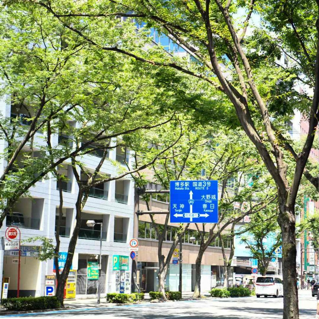 2026NEW 博多店メンバー紹介！