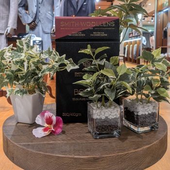 麻布テーラー広島に新作入荷「BOTANY-植物学-と服地の関係」