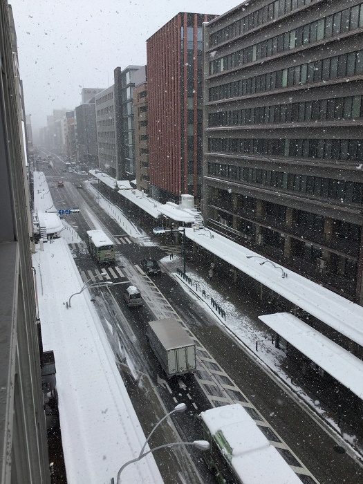 京都も雪化粧