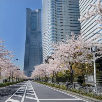 半袖Tシャツ入荷してます！