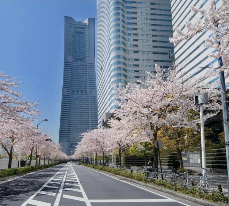 半袖Tシャツ入荷してます！