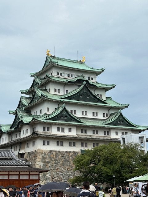 スタートプライス全紹介！