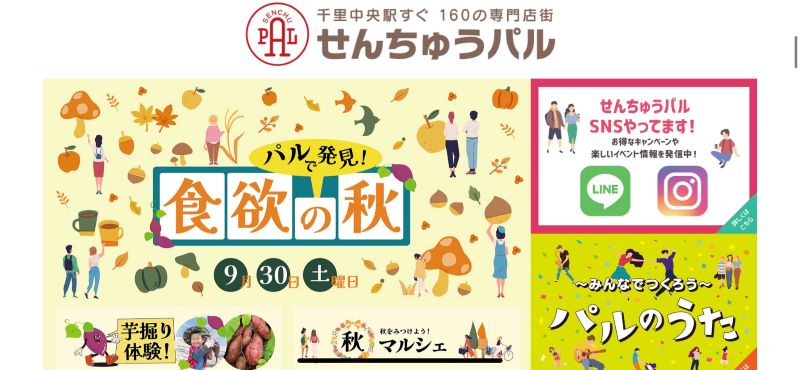 チェスターフィールドコート/カシミア100%