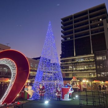 クリスマスの贈り物に。