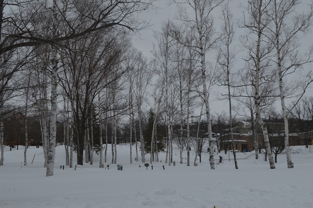 雪国へ。