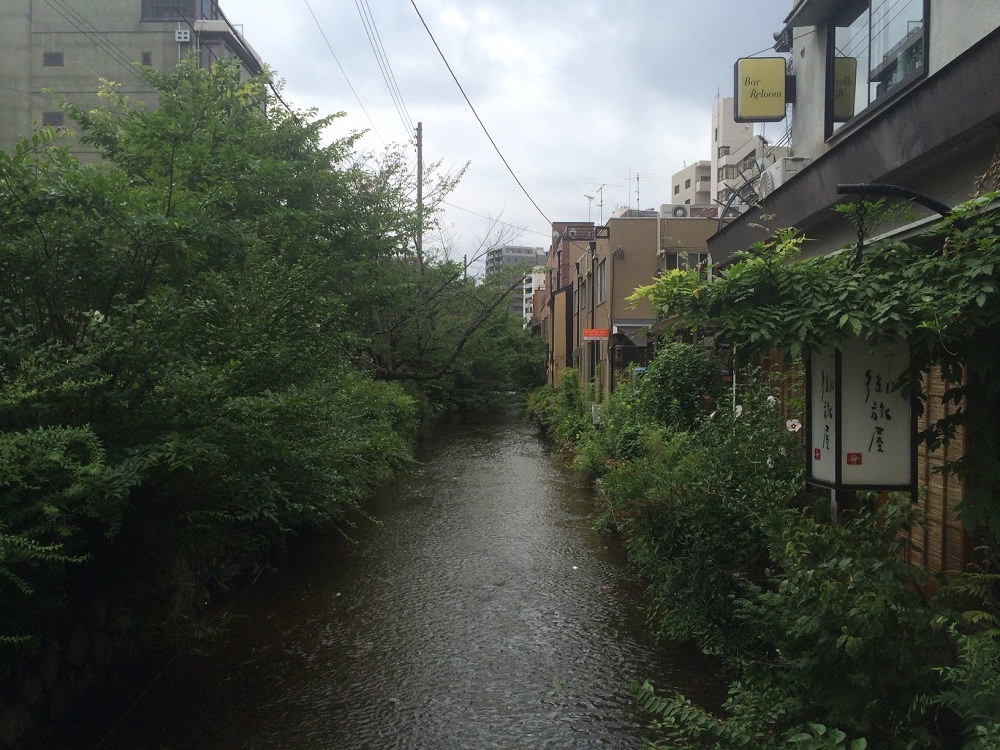 私の生地はこちらです。